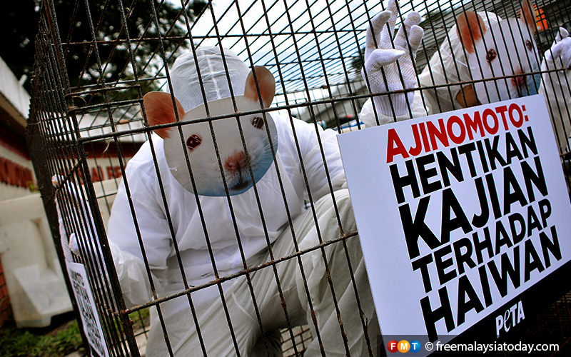 Tikus Berdemo Di Ibu Pejabat Ajinomoto Bantah Ujian Ke Atas Haiwan Fmt