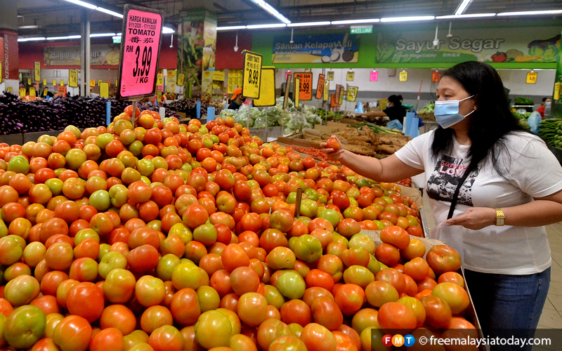 Kurang Bekalan Permintaan Tinggi Faktor Harga Tomato Naik Kata KPDN FMT