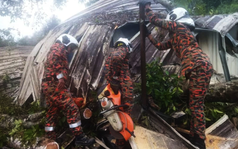 Lelaki Indonesia Maut Rumah Dihempap Pokok Tumbang Fmt