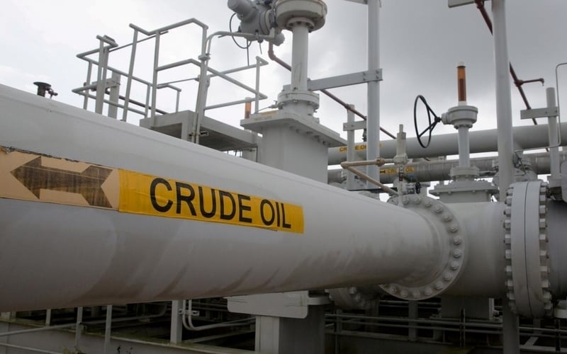 US China trade crude oil reuters 190219