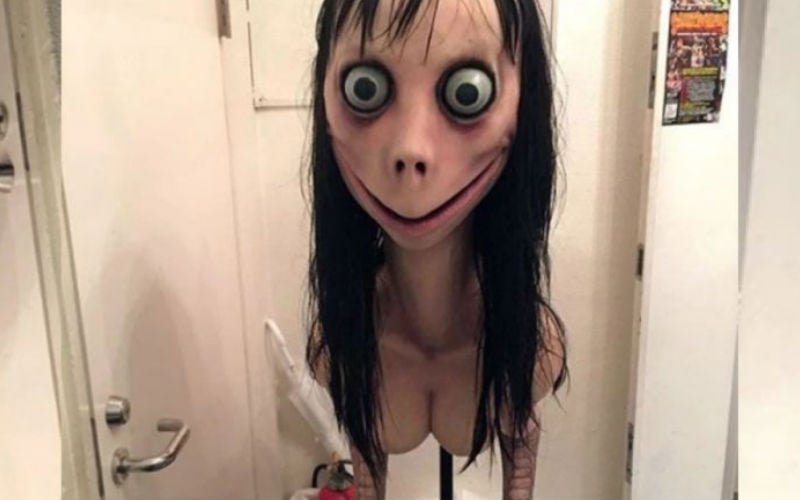 Momo challenge' image creator says has destroyed doll