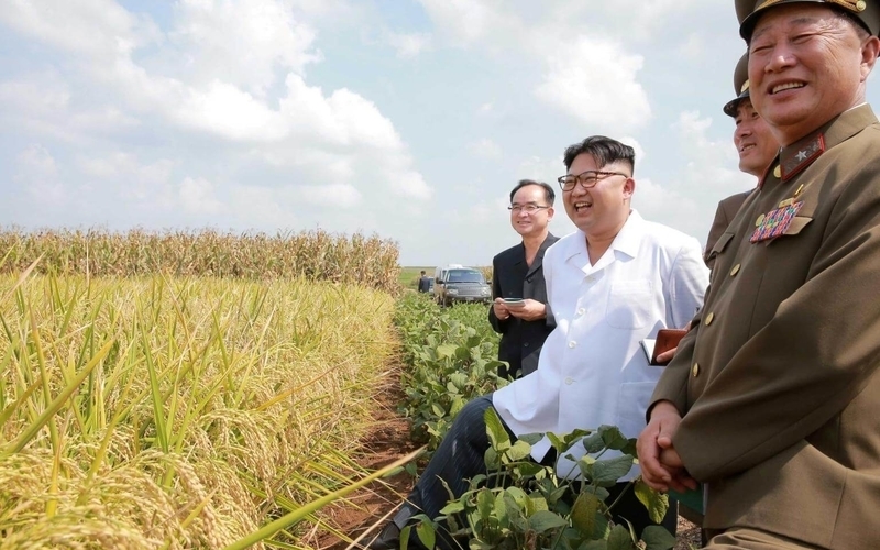 N. Korea’s Kim Convenes Meeting On Economy, Agriculture | Free Malaysia ...