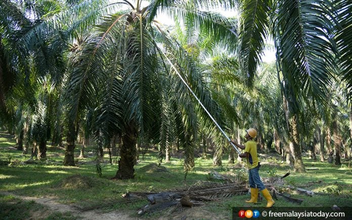 Sime Darby Plantation’s Q3 net profit triples to RM1.2bil | Free ...