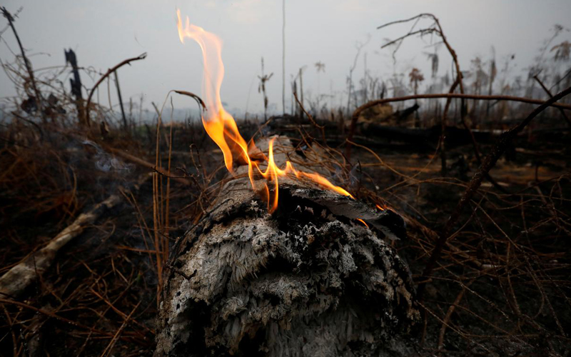 Humanitarian Support Arrives in Autazes to Battle Wildfires – Brazil Potash