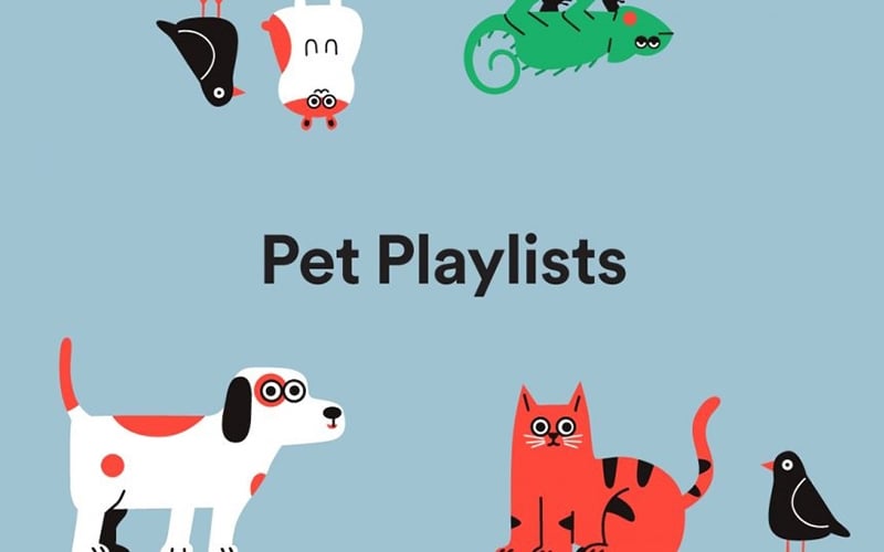 Spotify designs playlists for your pooch | Free Malaysia Today (FMT)