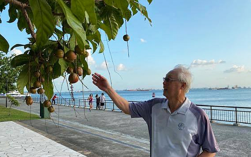 Goh Chok Tong ‘gambarkan’ hidupnya lebih tenang berbanding Mahathir FMT