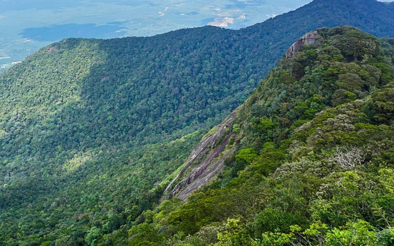 Gunung Ledang, hutan lagenda yang harus dilawati | Free Malaysia Today ...