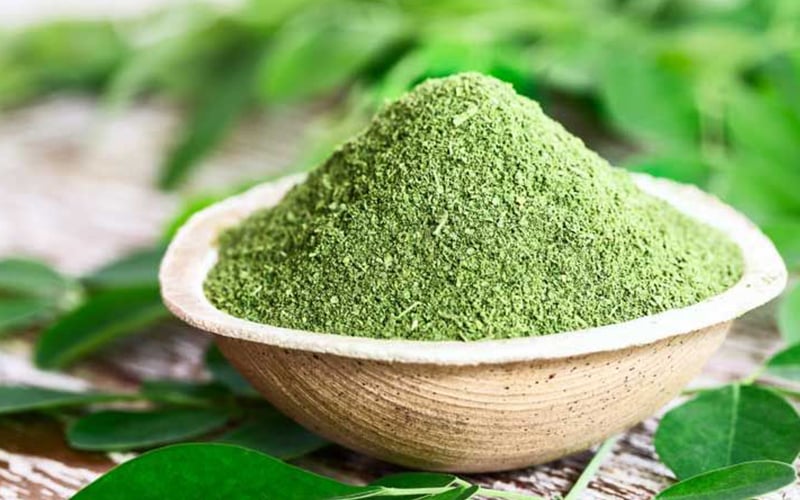 Discover the Four Health Advantages of the Unassuming Drumstick Tree – Free Malaysia Today