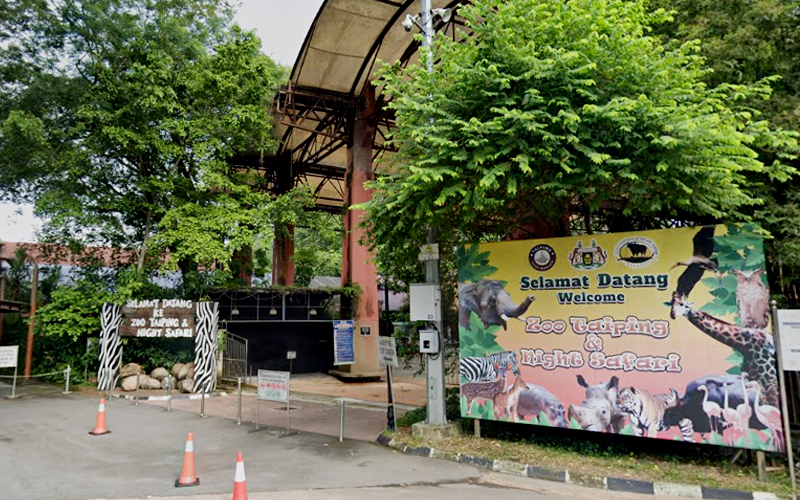 Taiping Council To Bear Rm500,000 Losses At Town Zoo 