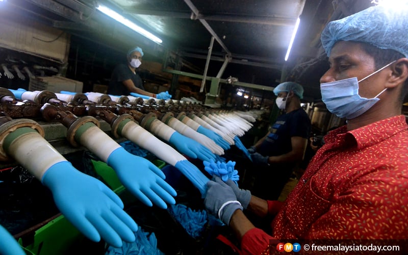 Glove makers predict RM38bil export revenue this year Free Malaysia