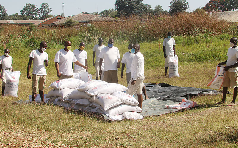 Zimbabwe: when rice bags also carry hope | FMT