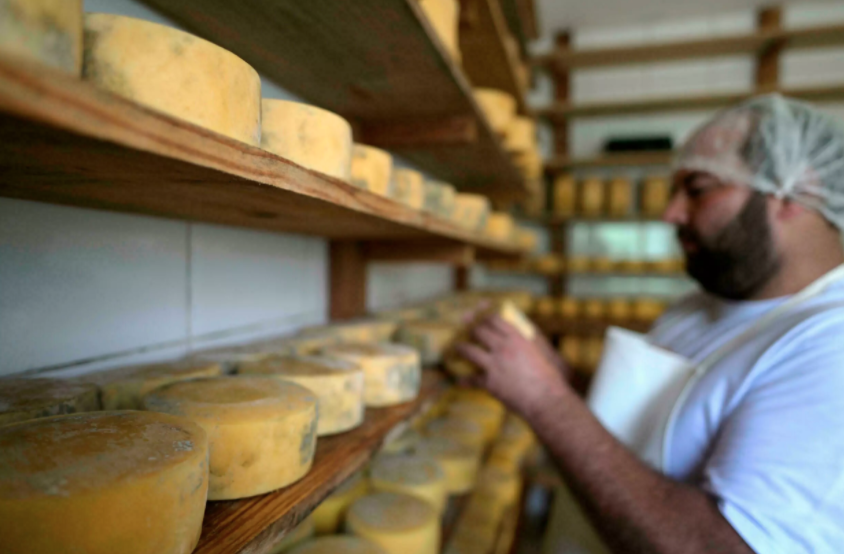 Brazil’s Unsung Craft Cheeses Win Fans In High Places | Free Malaysia ...