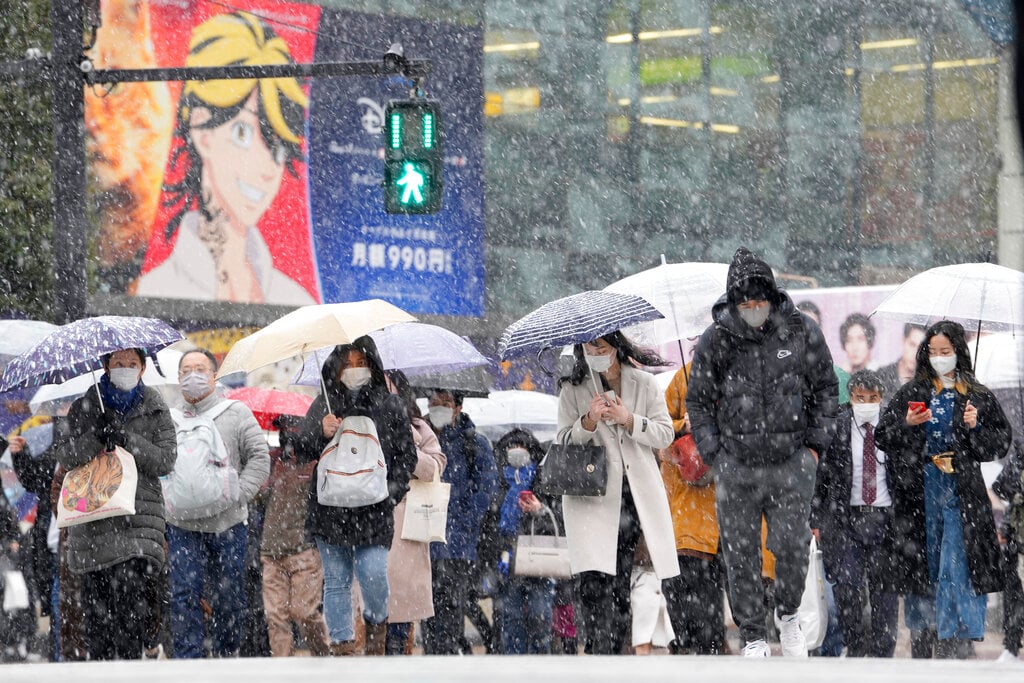 Tokyo shivers under unusually heavy snowfall