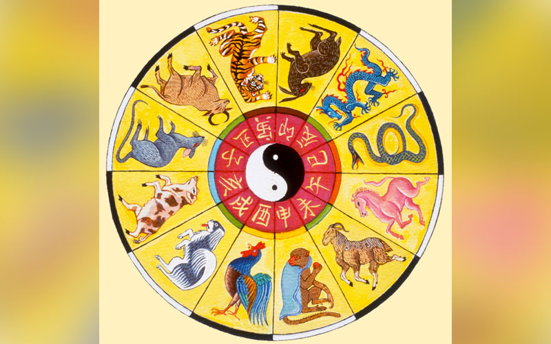 The Great Race and the 12 animals of the Chinese zodiac | FMT