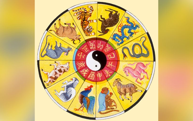 The Great Race and the 12 animals of the Chinese zodiac FMT