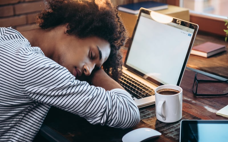 Indian start-up gives staff daily 30-minute cat naps | FMT