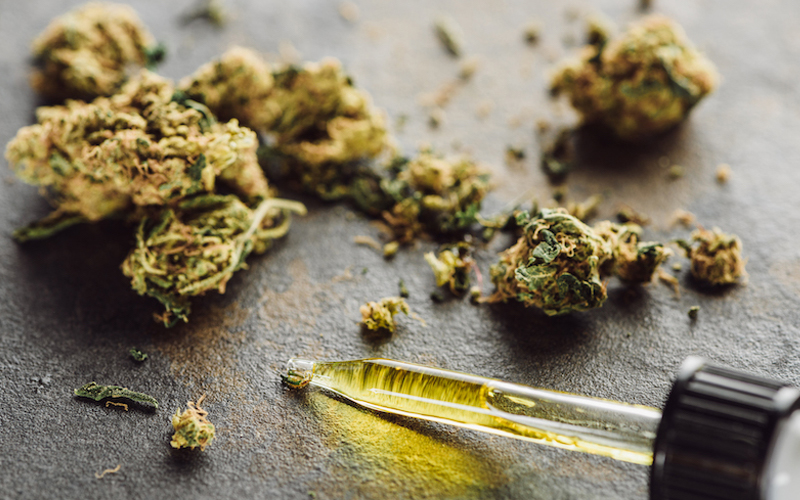 Hemp history how marijuana became illegal, and legal, after 5,000