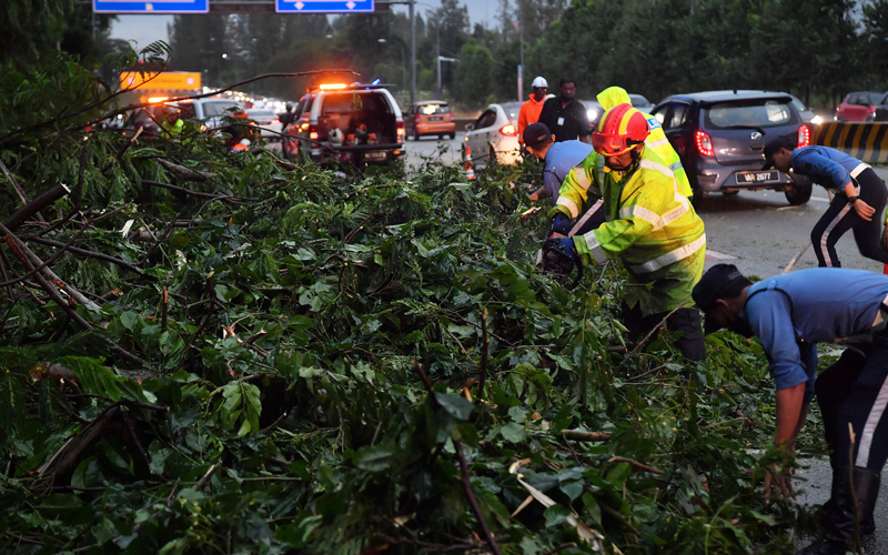 Storm Brings Down Trees In Over 40 KL Areas | FMT