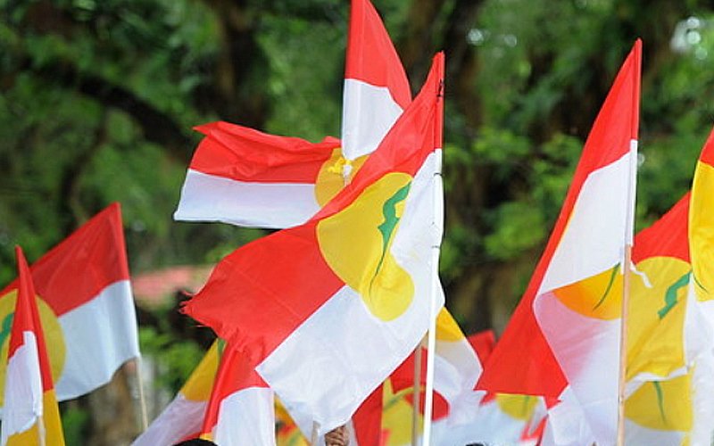 [Image: Umno-Flag-bernama.jpg]