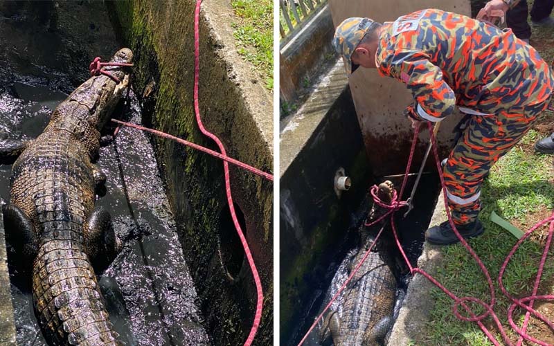 Sang Bedal Sesat Dalam Longkang Taman Permainan Fmt