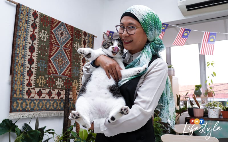 Rescue cats find purr-fect happy endings at PJ café | Free Malaysia Today  (FMT)