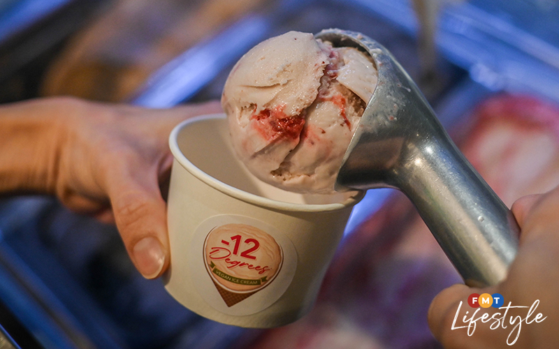 12 Degrees ice cream sugarfree, vegan and delish FMT