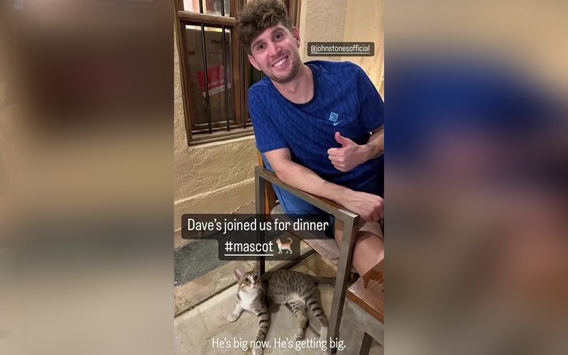 England players to adopt stray cat from Qatar after leaving World Cup FMT