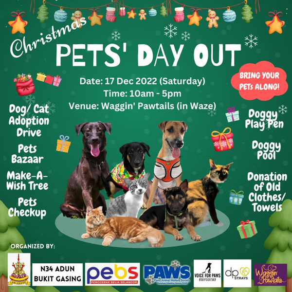 Make Christmas all the merrier at 'Pets' Day Out' | Free Malaysia Today  (FMT)
