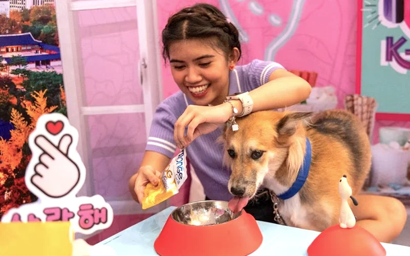 Animal lovers book V-Day dates with shelter dogs in Manila | Free Malaysia  Today (FMT)