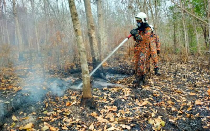 Anggota bomba bertugas 24 jam padam kebakaran tanah gambut