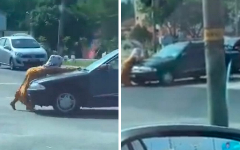 Woman clings to car bonnet to prevent husband from driving