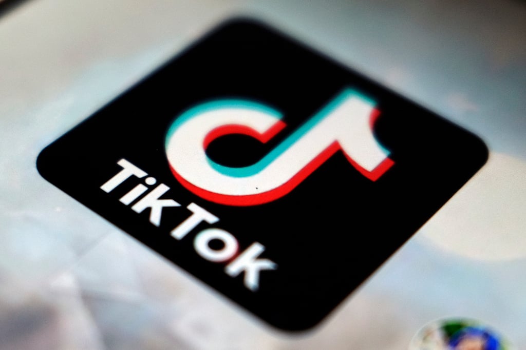 Portuguese NGO sues TikTok over ‘profits from children’