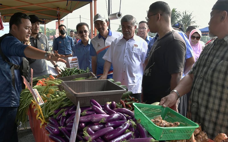 Cuaca panas dipantau elak jejaskan hasil pertanian negara, kata Mat Sabu