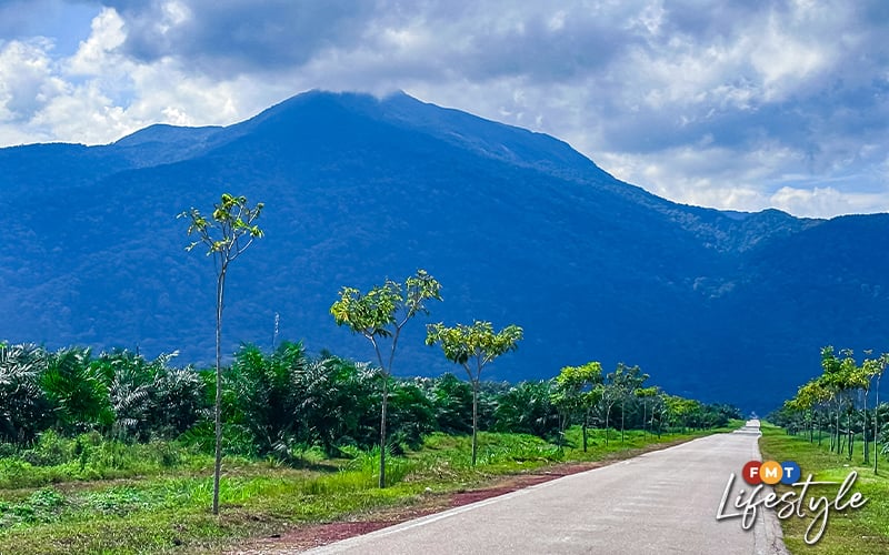 Majesty and artistry: Gunung Ledang and Muar Art Gallery paint a ...