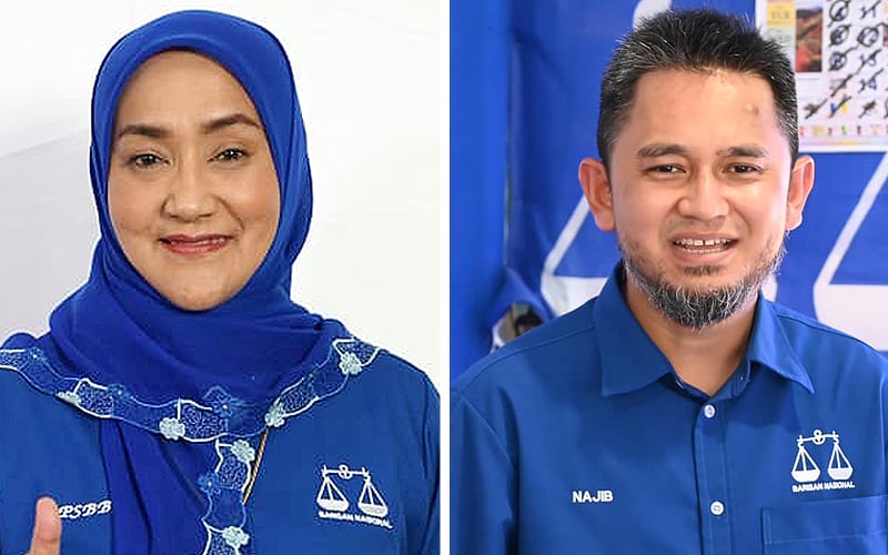 All in the family: ex-MB’s wife and son both eye seats