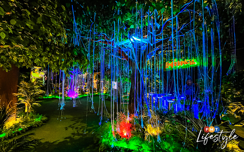 Wetland Studios Putrajaya offers fun learning for the family | FMT