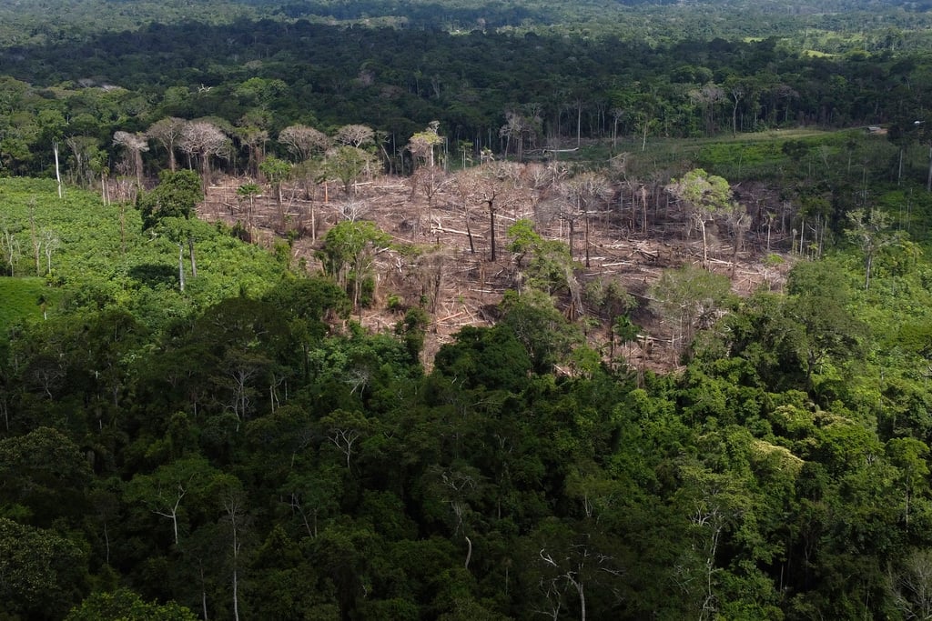 Amazon neighbours race to save world’s biggest rainforest | FMT