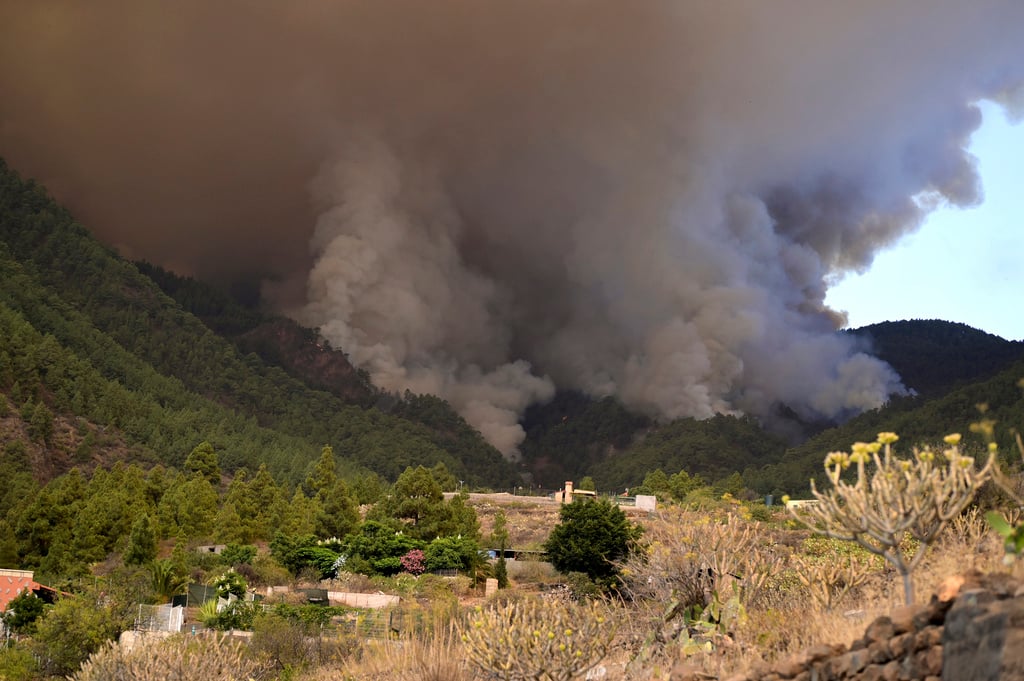 Thousands evacuated as Tenerife wildfire spreads