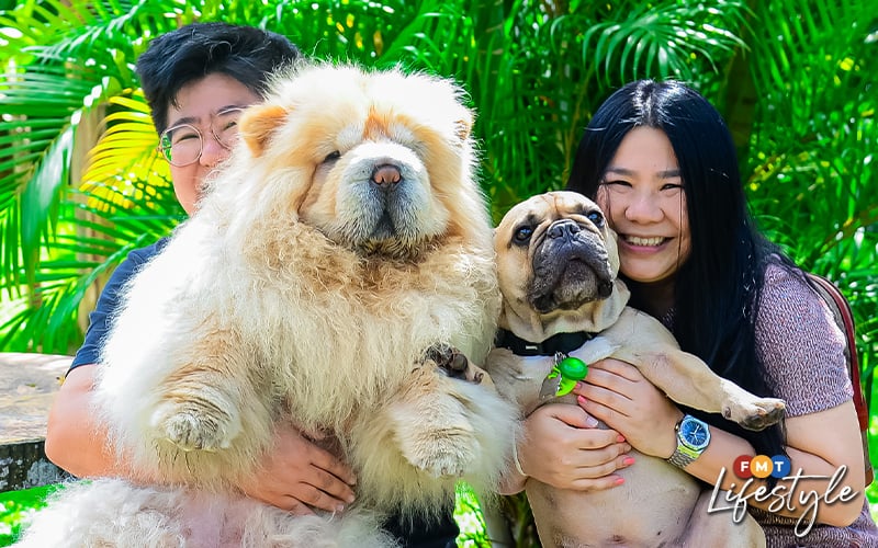 Stylish dogs rule the catwalks of Shanghai's streets