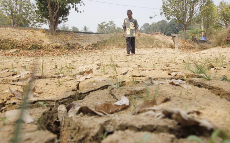 El Nino dijangka lebih ekstrem akibat pemanasan global