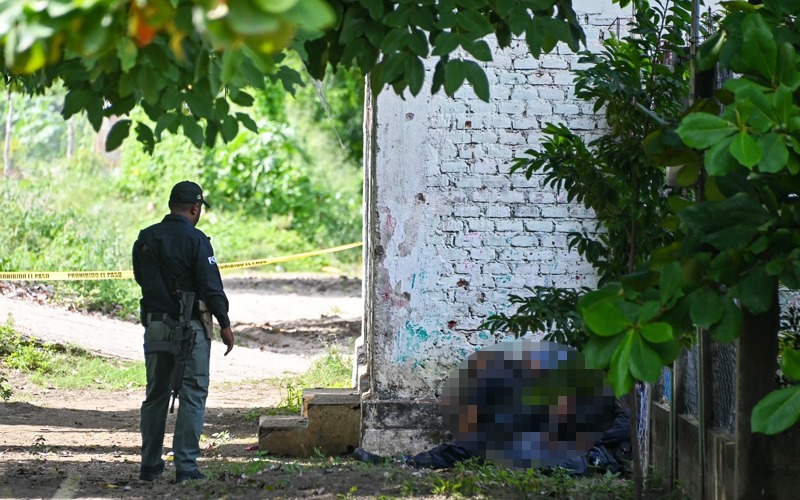 At least 16 killed in armed attacks in Mexico’s Guerrero, Michoacan | FMT