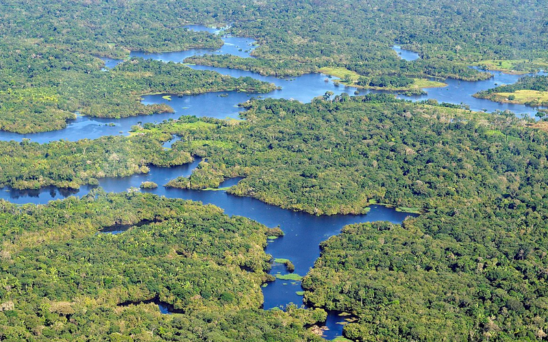 Brazil launches US$204mil drive to restore  rainforest