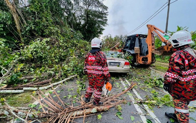 Warga emas maut kereta dihempap pokok