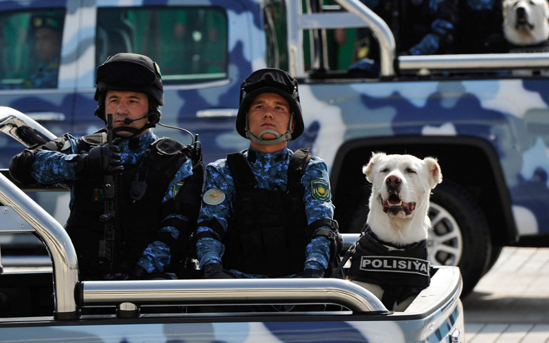 Good Alabai? Turkmen police dog wins annual competition | FMT