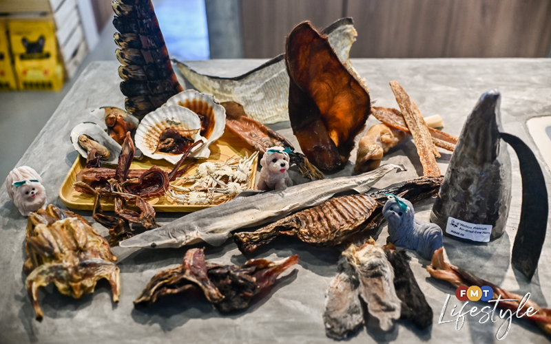 Now your pets can feast on beef bolognese and croc tails FMT