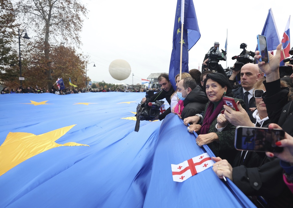 Georgian NGOs stage pro-EU march