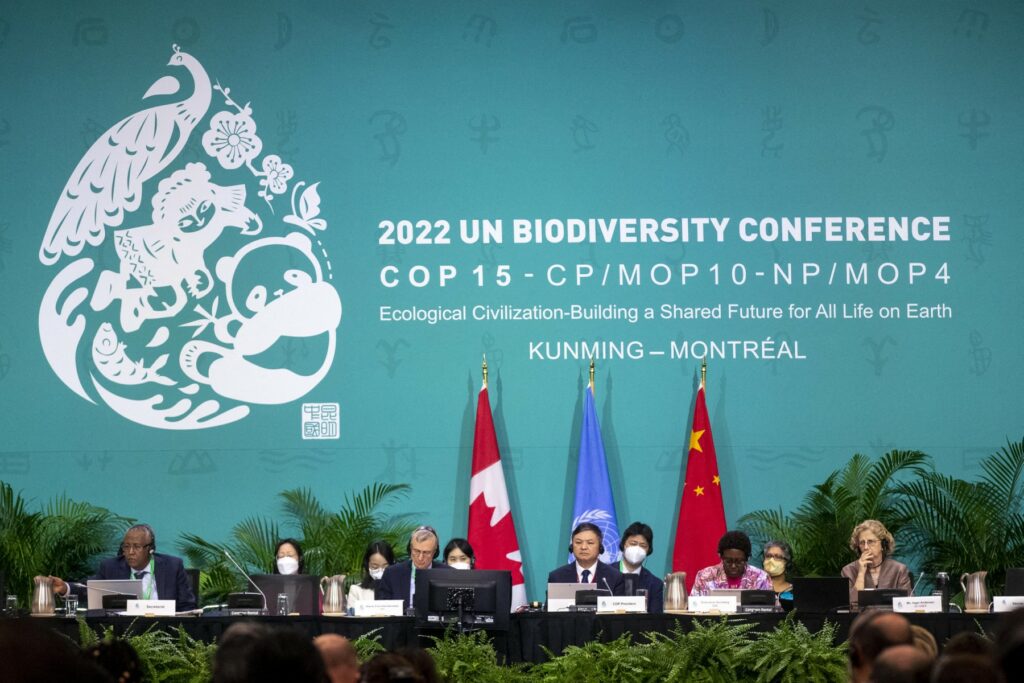 Colombia Offers To Hold COP16 Summit In 2024 | FMT