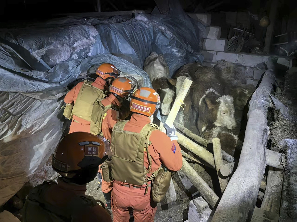3 dead, 5 injured in northwest China quake