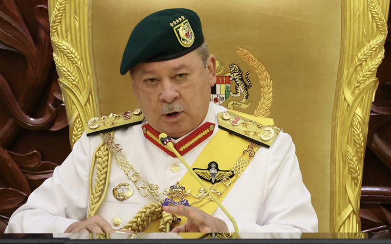 I will vet govt expenditure, says Agong