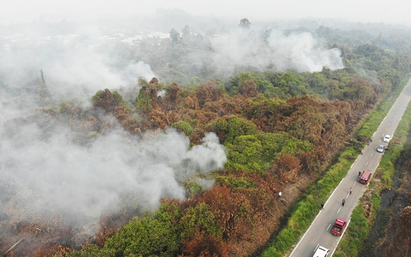 5 negeri dikenal pasti berisiko kebakaran hutan
